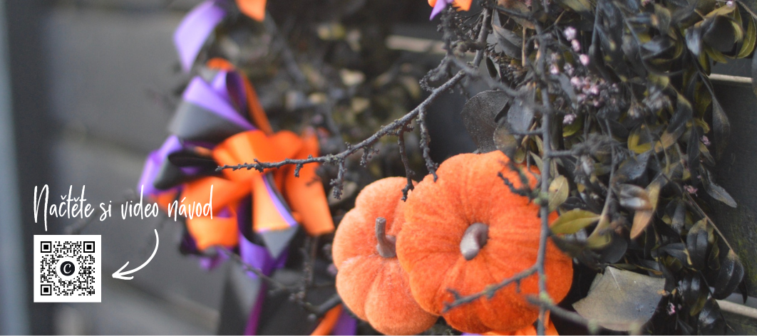 Kopie návrhu Banner Web